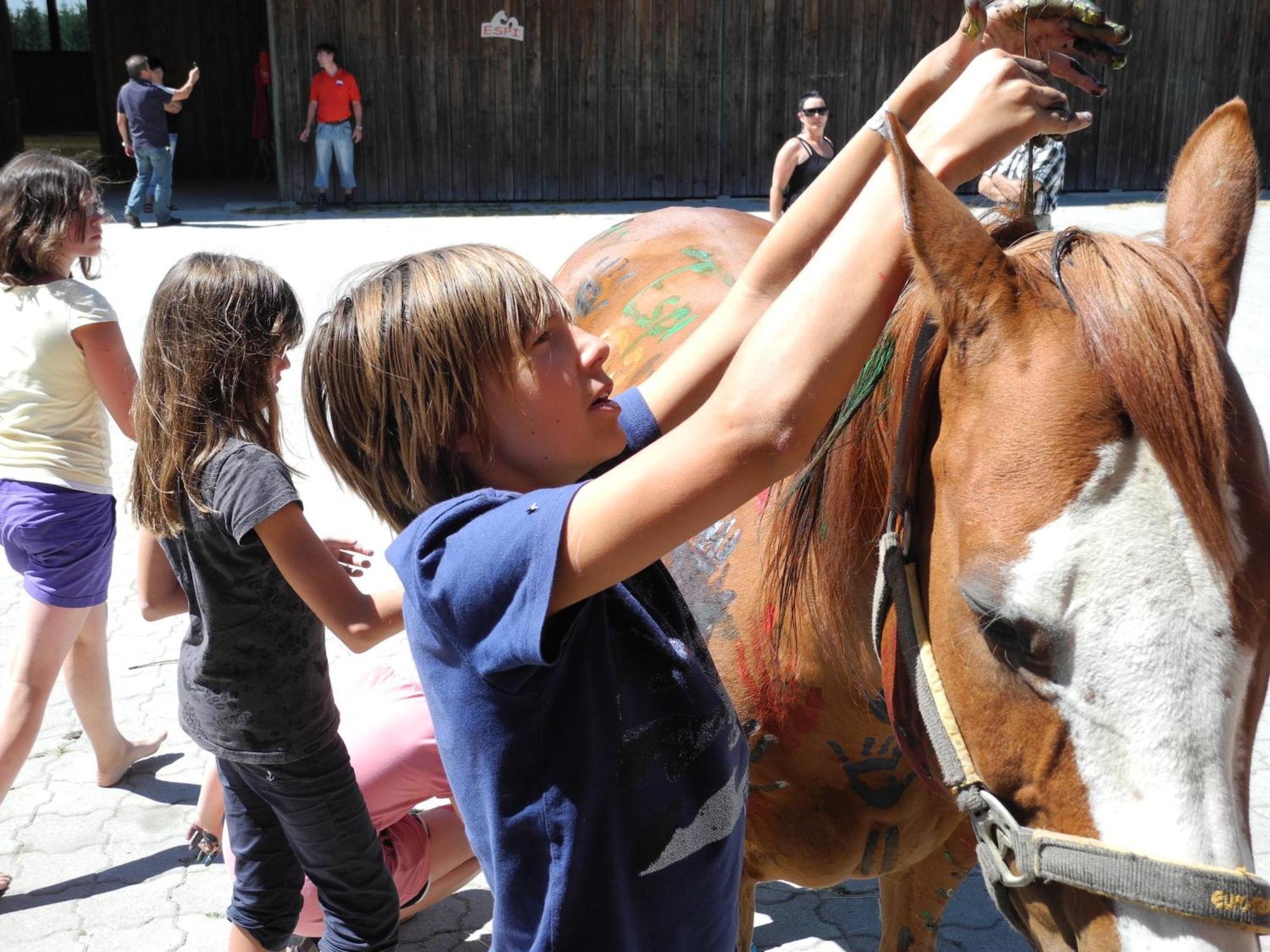 Espi-Stables Ferienhof Esterhammer ليبيناو المظهر الخارجي الصورة