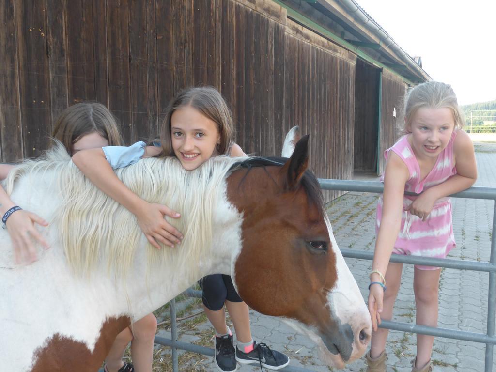 Espi-Stables Ferienhof Esterhammer ليبيناو المظهر الخارجي الصورة