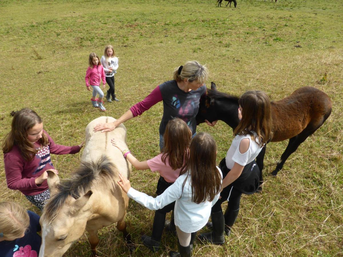 Espi-Stables Ferienhof Esterhammer ليبيناو المظهر الخارجي الصورة